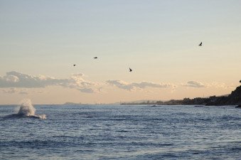 Curso PER en grupos reducidos en el Maresme